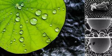 化纖不透氣？你媽覺(jué)得該這么穿，真不一定對(duì)！